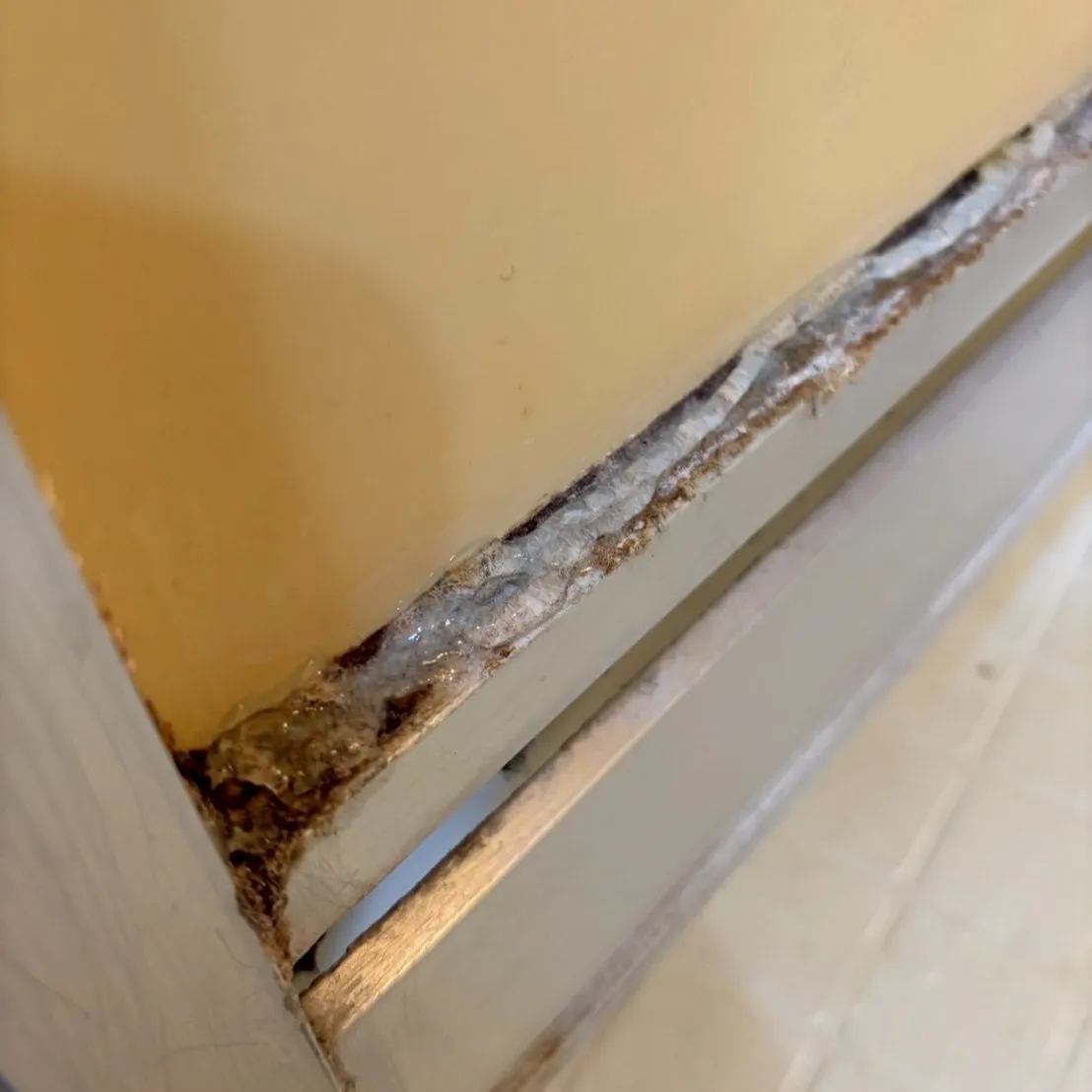 🏠✨お掃除革命の時を迎えましょう！✨🌟我々のハウスクリーニン...