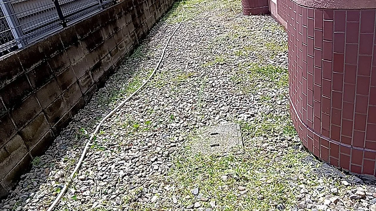 こんにちわ！