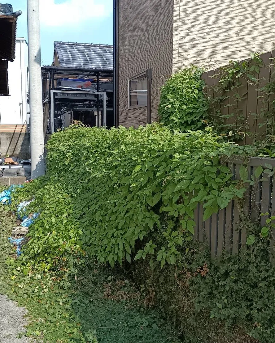 本日は、ご依頼をいただき、1軒家の除草作業を行いました🌿☀️