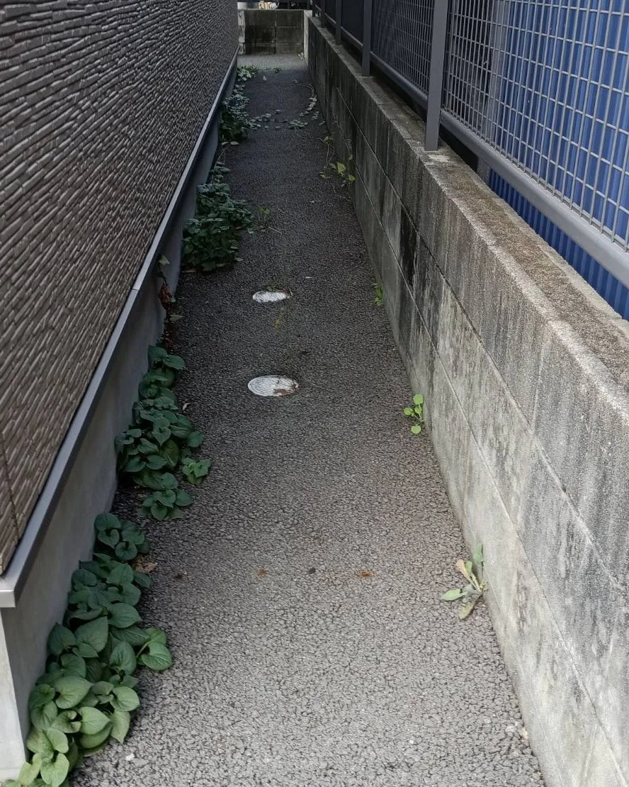 本日は、ご依頼をいただき、1軒家の除草作業を行いました🌿☀️